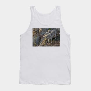 Timber Wolf Tank Top